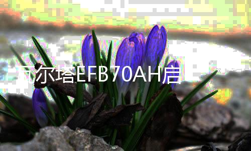 瓦尔塔EFB70AH启停蓄电池配途观L帕萨特凌度奥迪A3Q3原装汽车电瓶