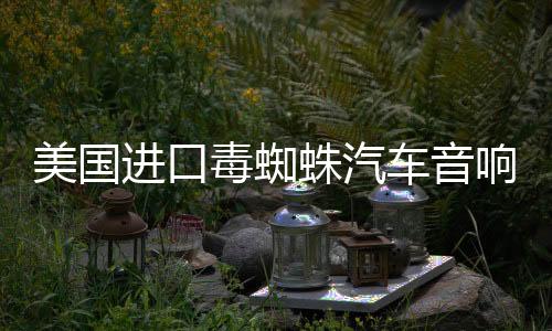 美国进口毒蜘蛛汽车音响改装套装飞度6.5寸套装喇叭四门高低音DSP