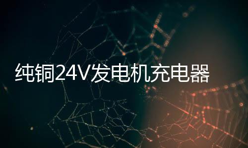 纯铜24V发电机充电器12V叉车货车通用大功率蓄电池电瓶汽车充电器