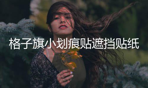 格子旗小划痕贴遮挡贴纸个性车贴 汽车拉花 前保险杠贴火焰图腾