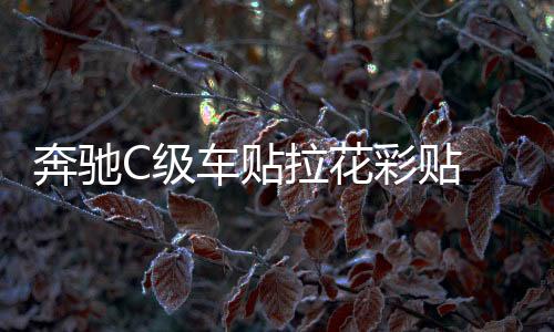 奔驰C级车贴拉花彩贴 反光镜后视镜装饰改装贴纸S级 C63 GLC C200