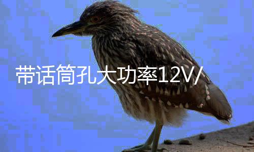 带话筒孔大功率12V/220V车车载蓝牙低音炮功放板汽车音响功放板