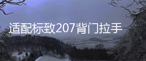 适配标致207背门拉手 标志206汽车后备箱拉手背门驱动器电机配件
