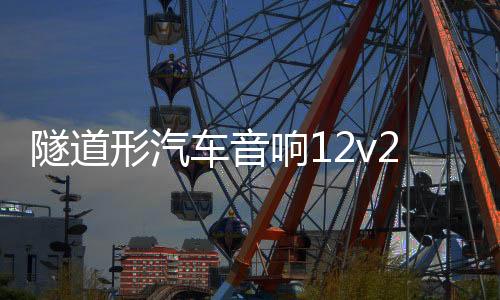 隧道形汽车音响12v24v车载蓝牙低音炮220V音箱重低音大功率改装