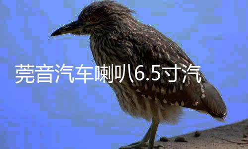 莞音汽车喇叭6.5寸汽车同轴喇叭发烧车载i汽车音响喇叭改装升级