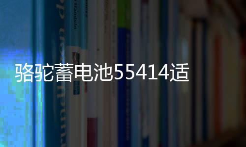 骆驼蓄电池55414适用桑塔纳2000/3000老捷达红旗汽车电瓶54AH