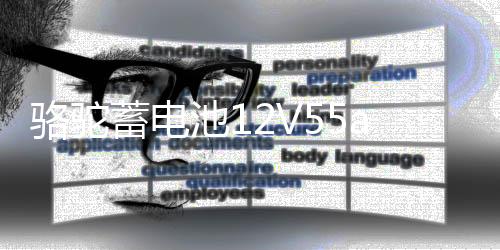 骆驼蓄电池12V55ah汽车电瓶适配宝骏730别克凯越乐风景程85550