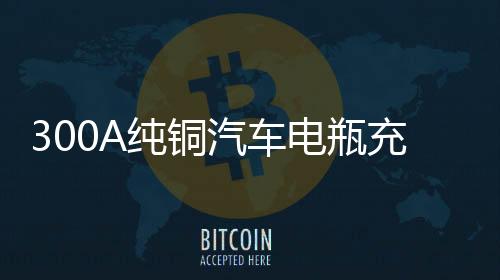 300A纯铜汽车电瓶充电器大功率货车叉车充电机6v12v24v智能通用